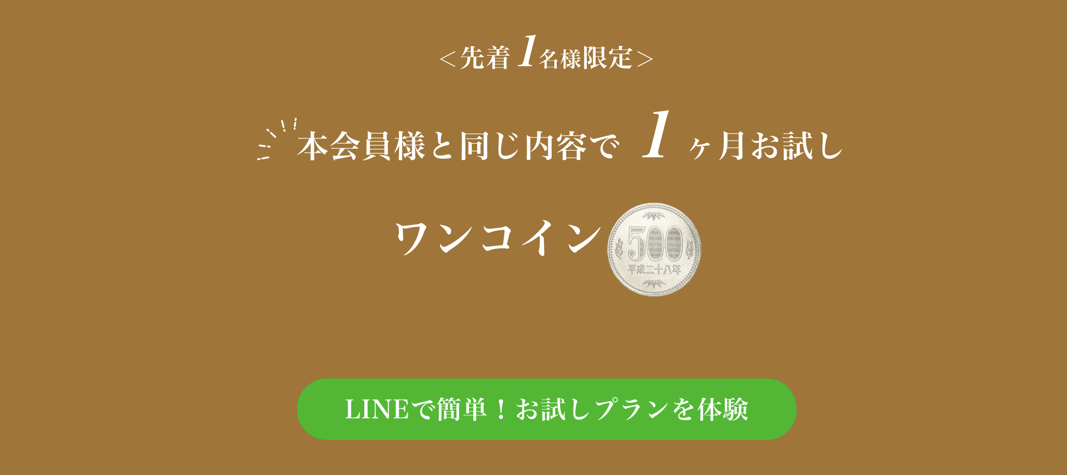 正しい表示